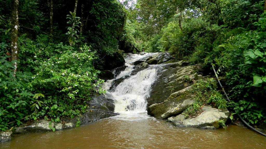 Deep Woods Resort Munnar Exteriör bild